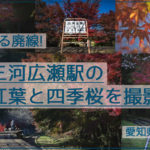 線路を歩ける廃線！三河広瀬駅で紅葉と四季桜を撮影【見頃は11月末】