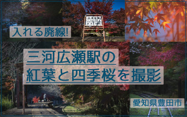 線路を歩ける廃線！三河広瀬駅で紅葉と四季桜を撮影【見頃は11月末】