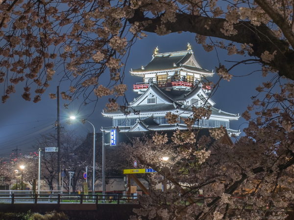 清洲城と桜の夜景を撮影！穴場スポット間違いなし【ライトアップの時間情報アリ】