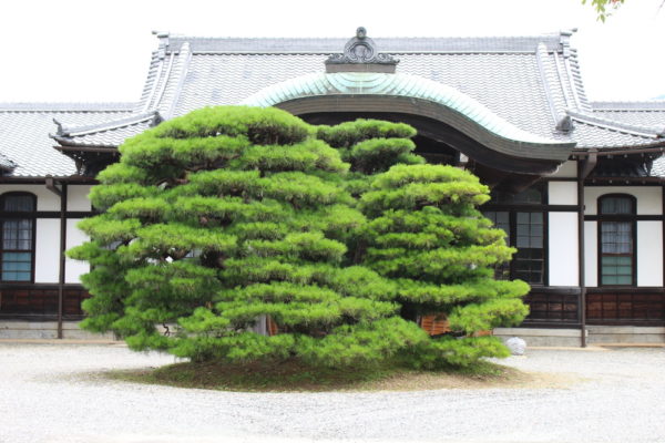 日の丸構図の写真の失敗例