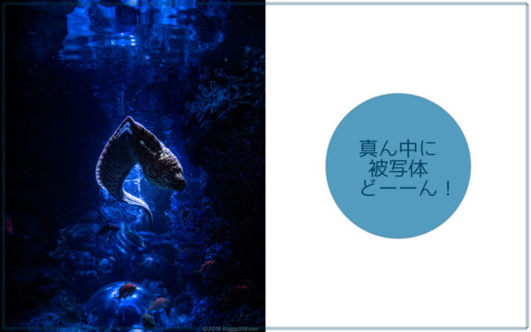 写真の日の丸構図の解説