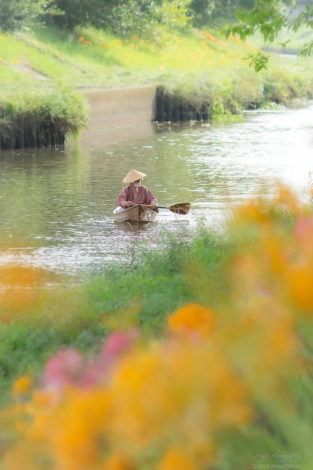 稗田川のカラフルな彼岸花（リコリス）と小舟と船頭さん