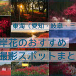 【おすすめ12か所】愛知・岐阜・三重の彼岸花の撮影スポット・見ごろまとめ