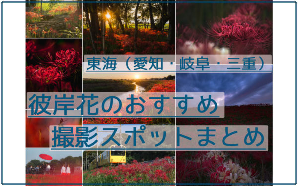 【おすすめ12か所】愛知・岐阜・三重の彼岸花の撮影スポット・見ごろまとめ