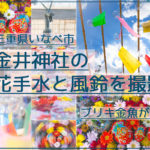 レトロでオシャレ！金井神社で金魚の花手水と風鈴を撮影！【三重県いなべ市】
