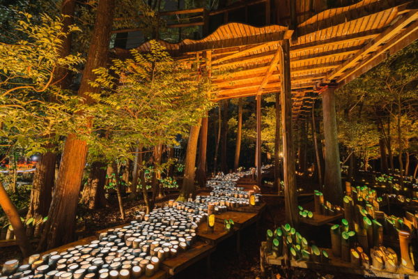 フィッシングサンクチュアリの森林の竹灯り