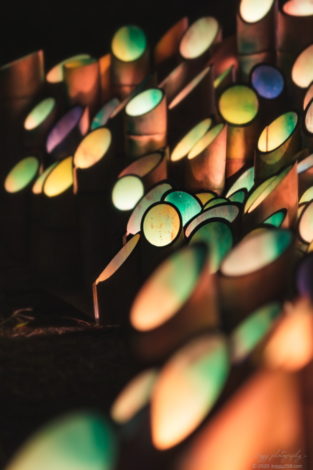 フィッシングサンクチュアリの第二ポンドの竹灯り