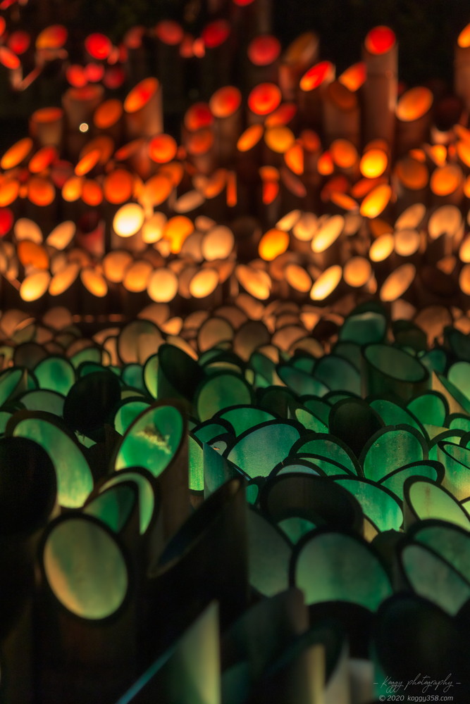 フィッシングサンクチュアリ入ってすぐのカラフルな竹灯り