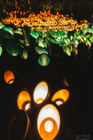 フィッシングサンクチュアリ入ってすぐのカラフルな竹灯り