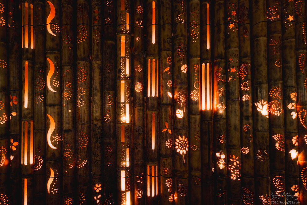 安城デンパークの仲秋のあかり祭りで竹灯りを撮影
