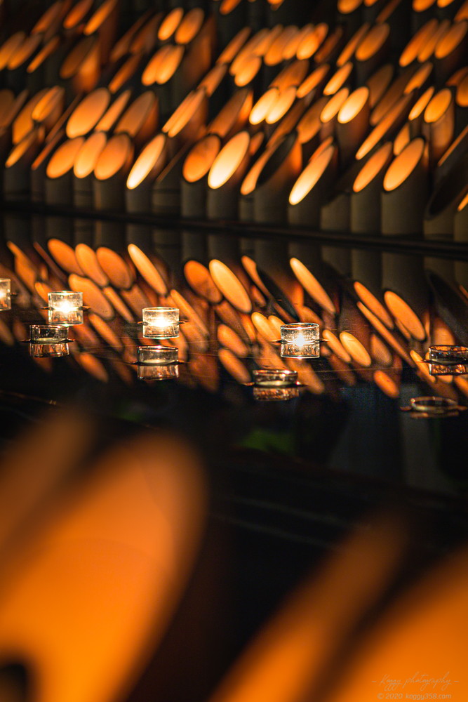 安城デンパークの仲秋のあかり祭りで竹灯りのリフレクションを撮影