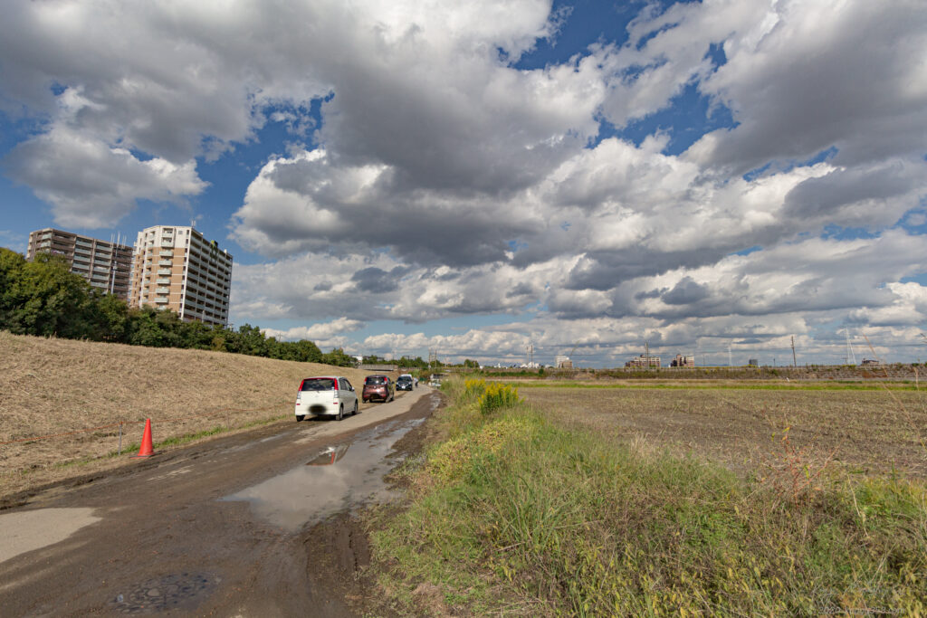 晴天の刈谷市中川町のコスモス畑の駐車場