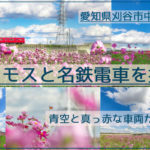 爽やか！刈谷市中川町のコスモス畑と名鉄電車を快晴の青空の下で撮影