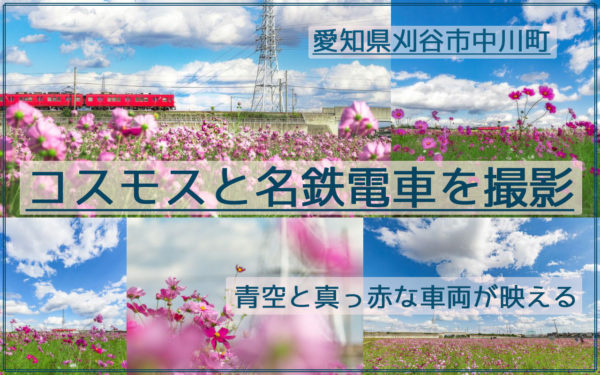 爽やか！刈谷市中川町のコスモス畑と名鉄電車を快晴の青空の下で撮影