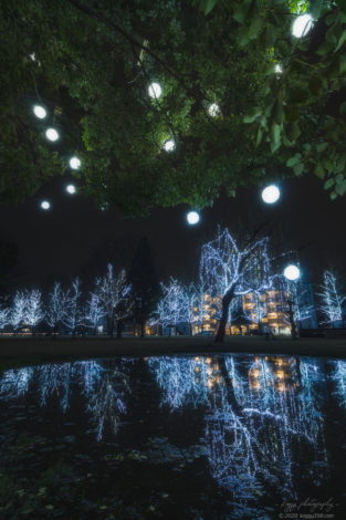 学びの森のイルミネーションを池にリフレクションさせて撮影