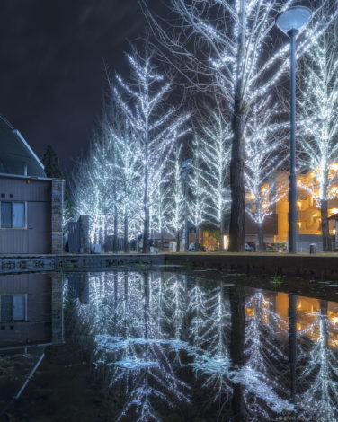 学びの森のイルミネーションを雲のテラスの池にリフレクションさせて撮影