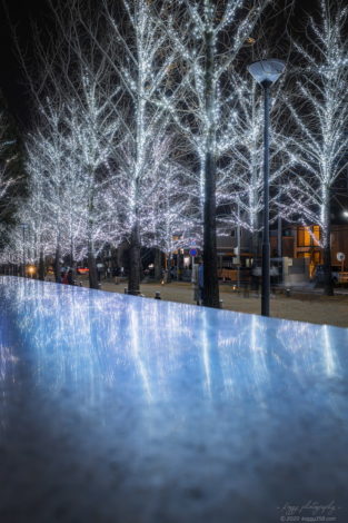学びの森のイルミネーションを雲のテラスの塀にリフレクションさせて撮影