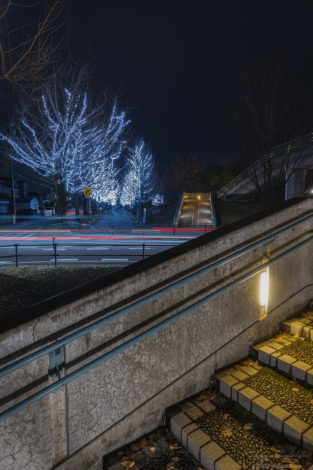 学びの森のイルミネーションを道路を挟んで撮影