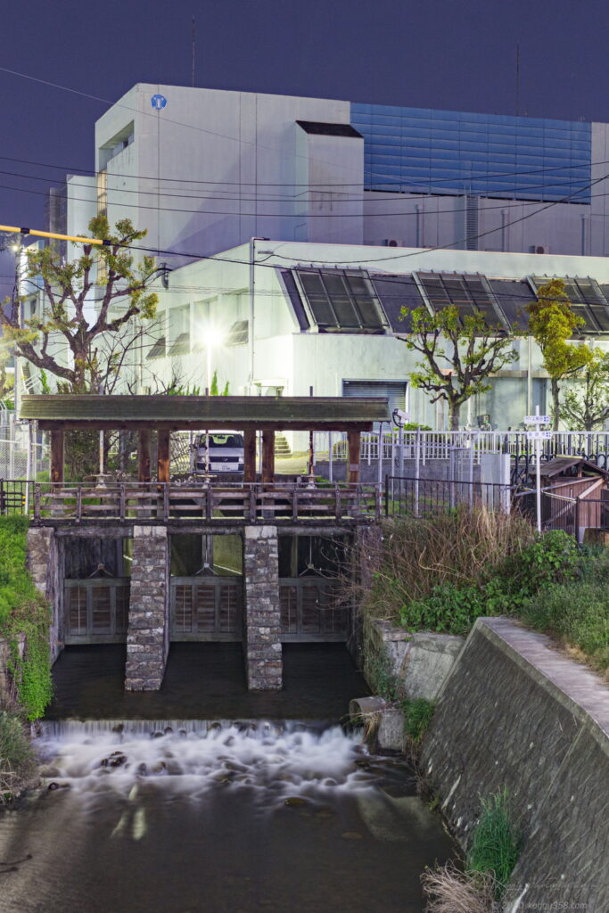 御用水跡街園の始点、黒川樋門の夜景を撮影