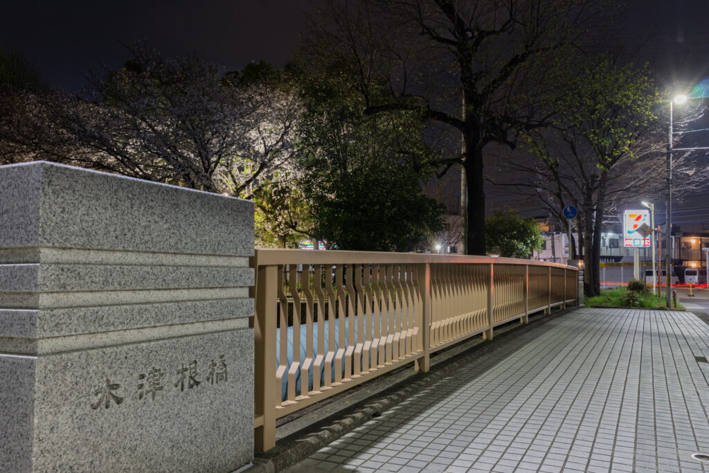 御用水跡街園の木津根橋から見る夜桜の雰囲気
