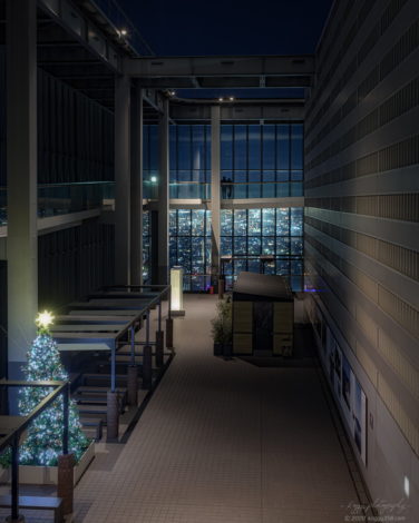 ミッドランドスクエアの展望台「スカイプロムナード」回廊での夜景とクリスマスツリー