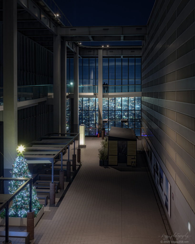 ミッドランドスクエアの展望台「スカイプロムナード」回廊での夜景とクリスマスツリー
