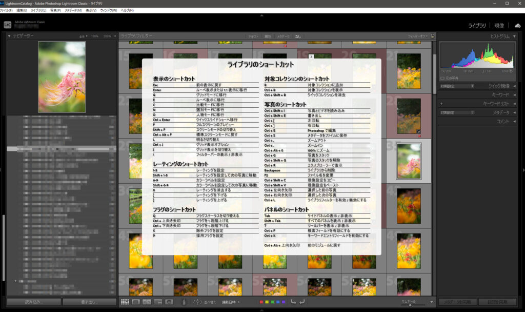 Lightroom Photoshopで画面にショートカットキー一覧を表示する方法 こぎフォト ダイアログ