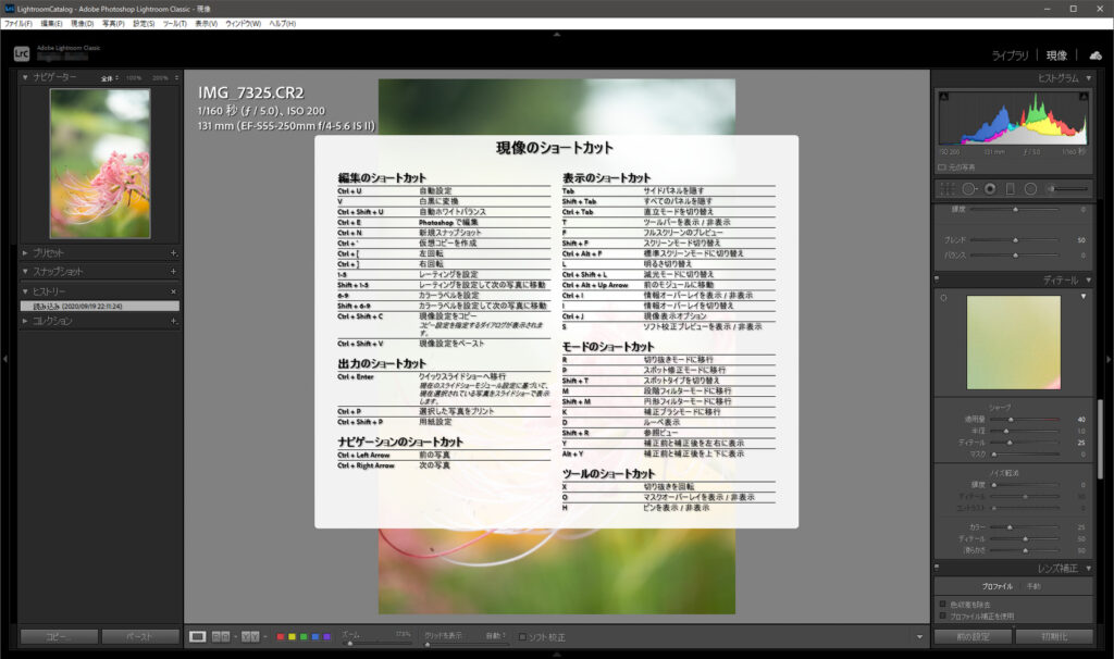 Lightroomの現像画面のショートカットキー一覧の雰囲気