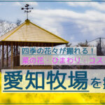 愛知牧場の四季の花を撮影！菜の花/ひまわり/コスモスが美しい！