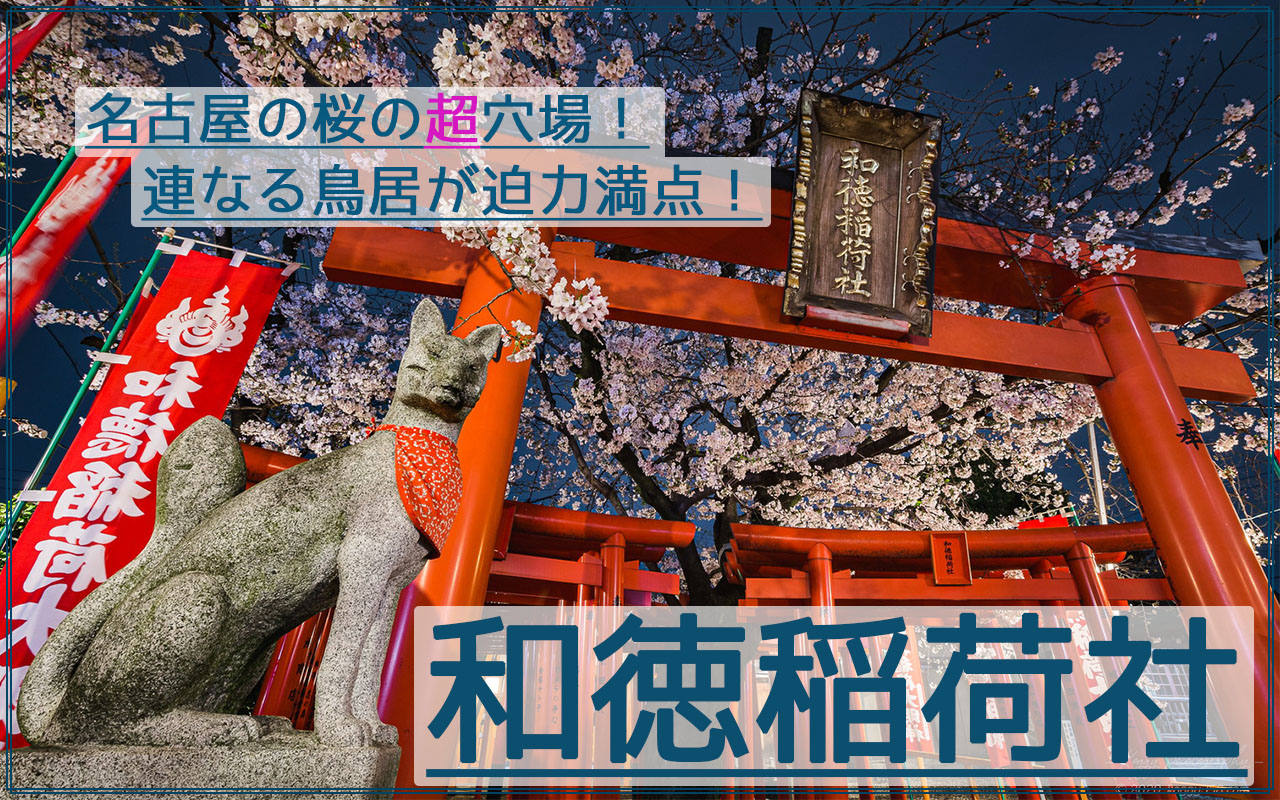 連なる鳥居が迫力満点！和徳稲荷社の夜桜夜景を撮影【名古屋の超穴場】