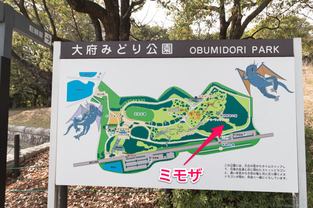 大府みどり公園の園内の地図