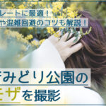 大府みどり公園でミモザのポートレートを撮影！見ごろ・場所・駐車場情報あり