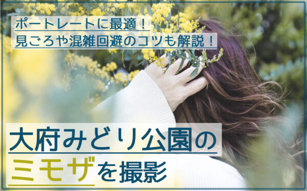 大府みどり公園でミモザのポートレートを撮影!見ごろ・場所・駐車場情報あり