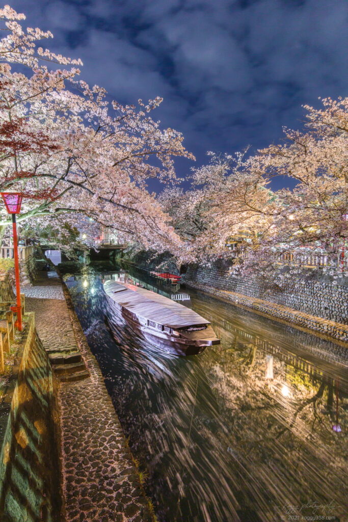 奥の細道むすびの地(大垣船町川湊)で夜桜と舟のリフレクション夜景を撮影