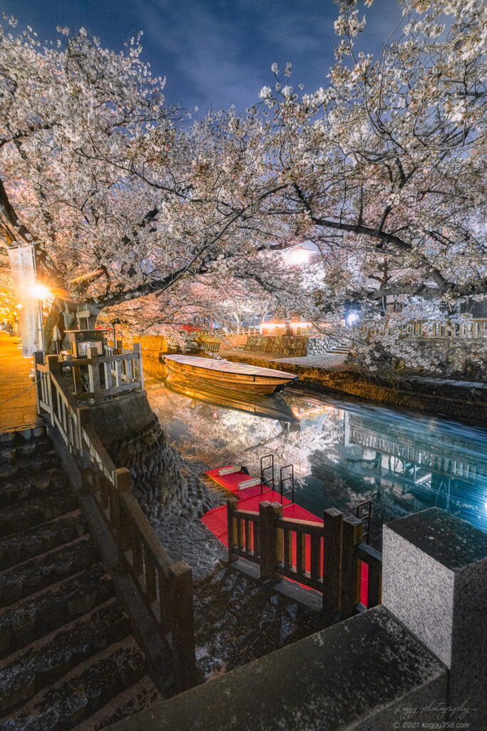 奥の細道むすびの地(大垣船町川湊)で夜桜と舟のリフレクション夜景を撮影