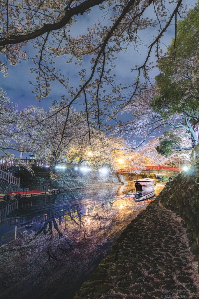 奥の細道むすびの地(大垣船町川湊)で夜桜と舟のリフレクション夜景を撮影