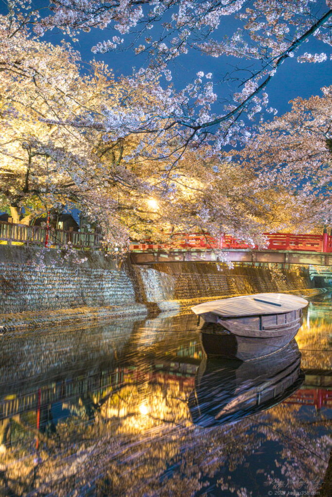 奥の細道むすびの地(大垣船町川湊)で夜桜と舟のリフレクション夜景を撮影
