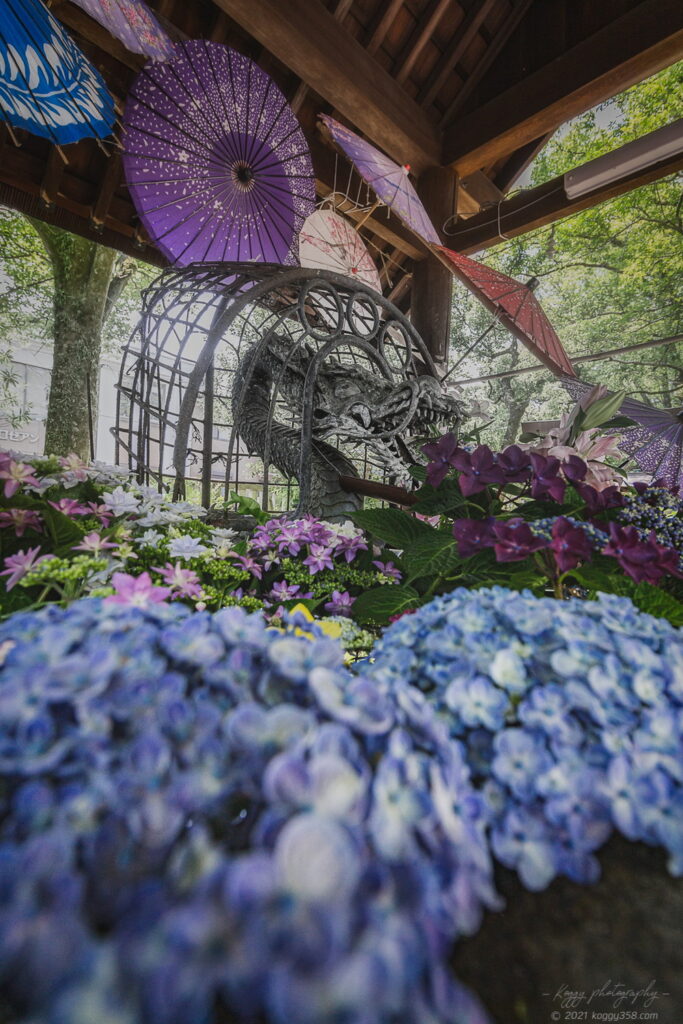 一宮市の若宮神明社のあじさいの花手水舎の雰囲気