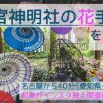 和傘が映える！一宮市の若宮神明社であじさい花手水を撮影｜駐車場やアクセス情報アリ！