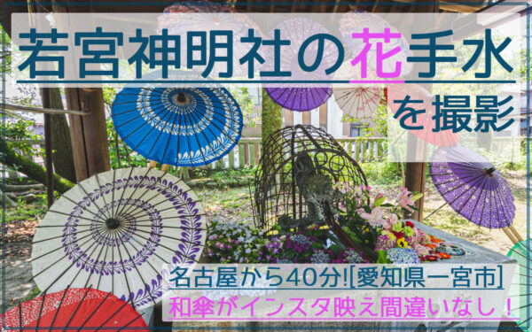 和傘が映える!一宮市の若宮神明社であじさい花手水を撮影|駐車場やアクセス情報アリ!