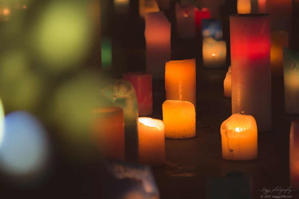 安城デンパーク 仲秋のあかり祭りで花木園のキャンドルのライトアップ夜景を撮影