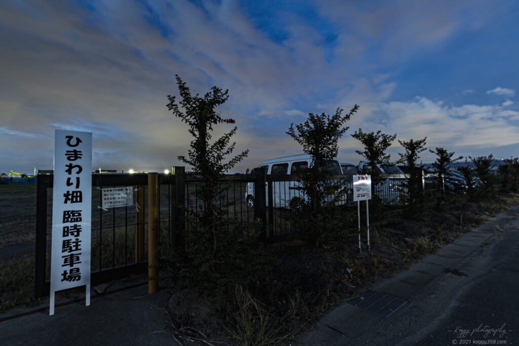 稲沢市の千代田ひまわり畑の駐車場
