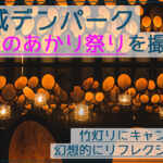 安城デンパークの仲秋のあかり祭りを撮影！竹灯りのライトアップが美しい！