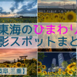 東海のひまわりの撮影スポット26か所まとめ【愛知,岐阜,三重】