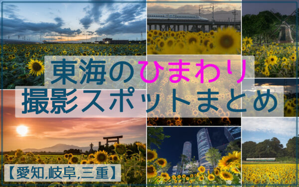 東海のひまわりの撮影スポット26か所まとめ【愛知,岐阜,三重】