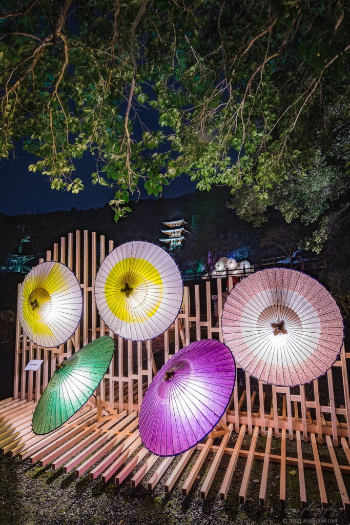 岐阜公園で開催されたぎふ灯り物語 ～アート＆ヒストリー～の和傘などのライトアップの夜景を撮影