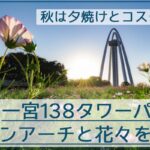 一宮の138タワーパークでツインアーチと四季花などを撮影【コスモス/ネモフィラ/イルミネーション】