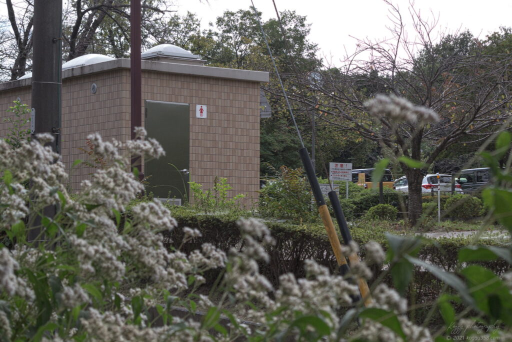 愛知県大府市の二ツ池公園のアサギマダラとフジバカマの撮影スポットから見えるお手洗いと駐車場