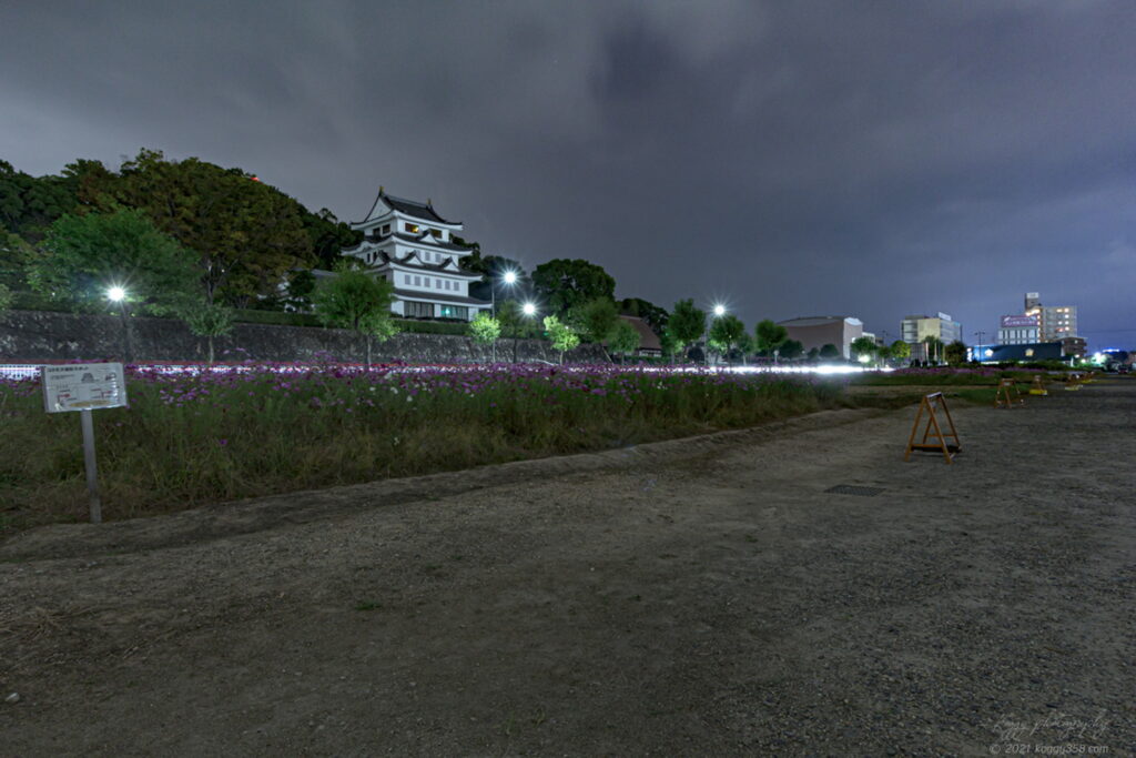 尾張旭市の城山公園の旭城 新居城 とコスモスを撮影 駐車場 見ごろ スポット情報アリ こぎフォト ダイアログ