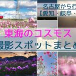 名古屋近郊の東海のコスモスおすすめ撮影スポット40か所☆愛知/岐阜/三重の情報まとめ！